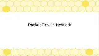 IPv4   Example | Packet Flow in Network | DNS Query | ARP Request | Proxy Server | MAC Address | NAT
