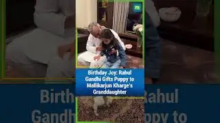 How Pawesome! Kharge&rsquo;s Granddaughter Gets Puppy from Rahul Gandhi on Birthday