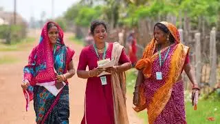 Mangrove Plantation and Restoration | ECRICC Odisha