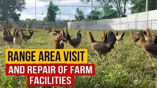 LIVESTRONG FARMS RANGE AREA VISIT AND SOME FARM MAINTENANCE WORKS 