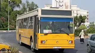 LES LEADERS DU TRANSPORT EN TUNISIE