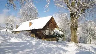 Biologicky hodnotná krajina
