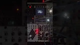 Circular shapes with DATA module #eurorack #modularsynth #oscilloscope #ambientmusic