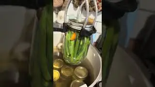 Let&rsquo;s Pickle Dilly Beans! #canningandpreserving