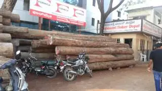 vijayalaxmi timber depot