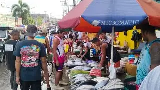 GRABE ISANG TUMPOK NG ISDA MAHIGIT ISANG KILO NA | TORSILYO 200 KADA KILO #malabon #tardunztv #fyp 