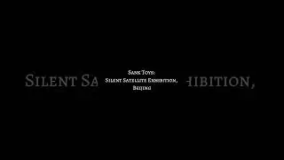 ✨ Sank Exhibition: Silent Satellite (Beijing 2025) | Guess the Piece I Couldn&rsquo;t Resist 👀