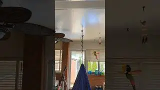 Approval to install calming hanging hammock in the kids room