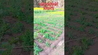 please bhai support kisan