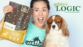 Trying Out Nature's Logic Canine Chicken Meal Feast | Kibble Review