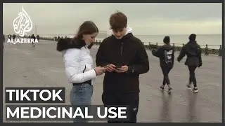 A group of scientists use TikTok to tackle vaccine misinformation