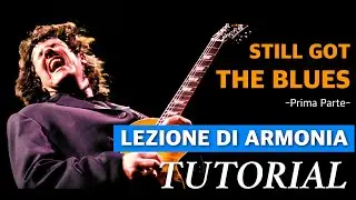 Still got the Blues  - TUTORIAL + Lezione di Armonia (prima parte)