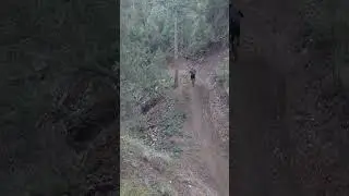 Drop Shaft Trail - last couple step-ups