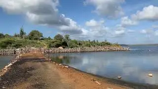 Bonaire | 31.12.219 | Flamingos am Goto Meer