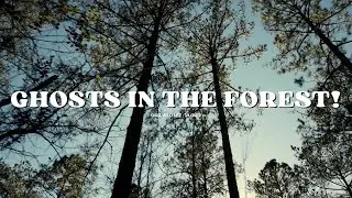 We found GHOSTS in the Forest!