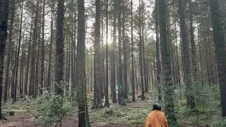 Silent Cinematic Short Film | STILL 2
