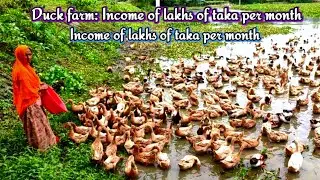 Duck Farm Income 💰 Monthly Earnings in Lakhs | Village Family Success Story 🦆
