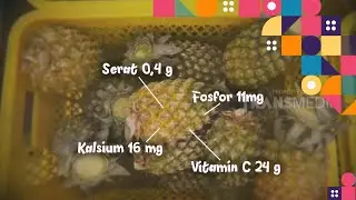 Berkunjung ke Pabrik Jus Nanas Di Kota Tangerang | SI UNYIL
