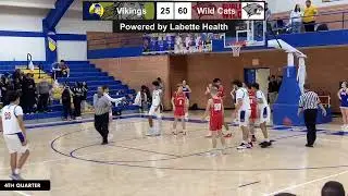 Vikings vs Wild Cats Basketball