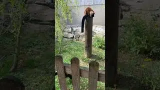 Zoo today