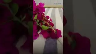 Your ultimate spa experience awaits at Praveg Beach Resort Diu