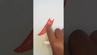 How to Draw a Bell Pepper / Capsicum (Red) - Drawing & Coloring/shorts