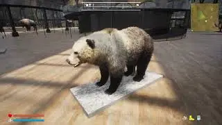 PROJECT HUNT - A new Trophy Room
