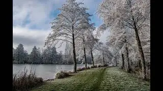 TERAQUE
