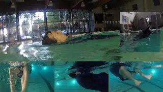 The Aquatic Portlandian