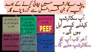 PEEF Scholarship Steps/ PEEF Scholarship Completion Steps/ Punjab Educational Endowment Fund/ PEEF