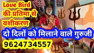 Love Bird Ke Statue Se Urgent Love Affair Vashikaran Black Magic Problems Result. M. 9824899729
