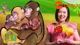Brother Macaque Has Grown Up 👀| Our Story House E03 | @mediacorpokto