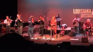 Steve Riley and the Mamou Playboys - 