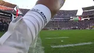Thaddeus Moss Crazy Catch