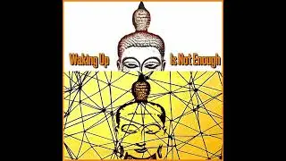 Waking Up Is Not Enough Episode 20 - Why Early Buddhism Matters N...
