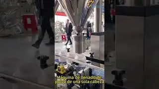 Llenadora autom&aacute;tica de polvo con sinf&iacute;n de un solo cabezal