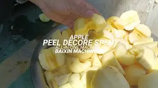 Apple pear peel de core split machine