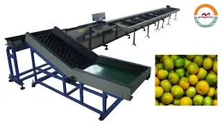 Industrial Mandarin Orange Weight Sorting Grading Machine Automatic Tangerine Sorter Grader