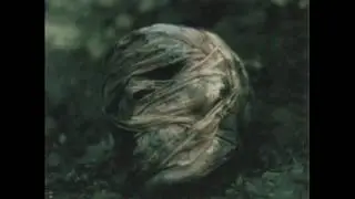LAPUTA - Vertigo -