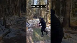 Fun course at CDT - Hole 16 Dylan looking for the birdie navigating the tree line.