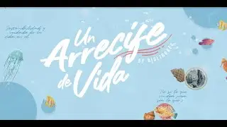 &iexcl;Un arrecife de vida!