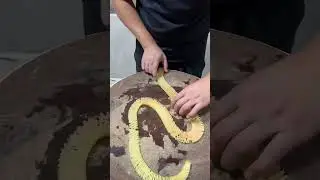 Watermelon Wonders: Artistic Cutting Designs