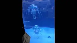 Jellyfish Robot