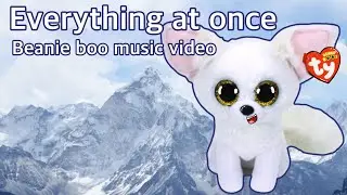 “Everything at once” Beanie boo music video