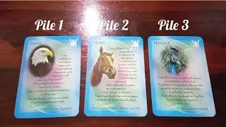 Hindi - Messages from your future self - Pick a Card
