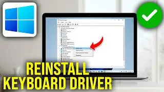 How To Re-Install Keyboard Driver in Windows 11, 10