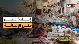تضييق إسرائيل عمل المؤسسات الدولية يهدف إلى استمرار الإبادة في غزة.. ناشط و باحث حقوقي يعلق