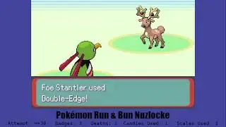 Taking the Route 111 Rock Smash encounter to MAYBE beat Norman :)
