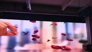 Huasun Flexible LED Display GALAXIAS P6 Demo Show