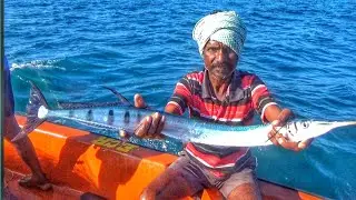Catching A Needlefish - Longline Net Fishing - Big Catching Net Fish On The Sea